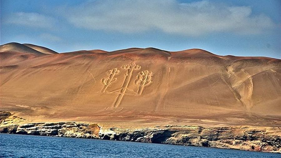 San Martin Port to Ballestas Islands and Paracas Reserve Tour