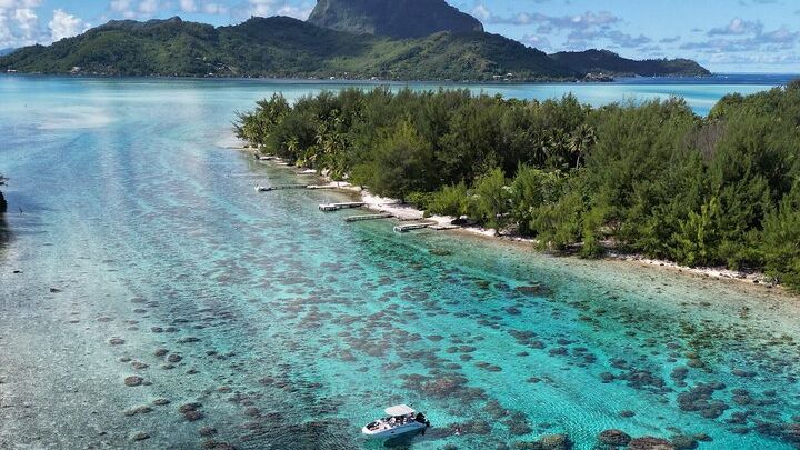 Reef Discovery Half Day Group Signature Tour