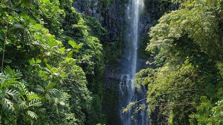 Maui Private Road to Hana Sightseeing Tour