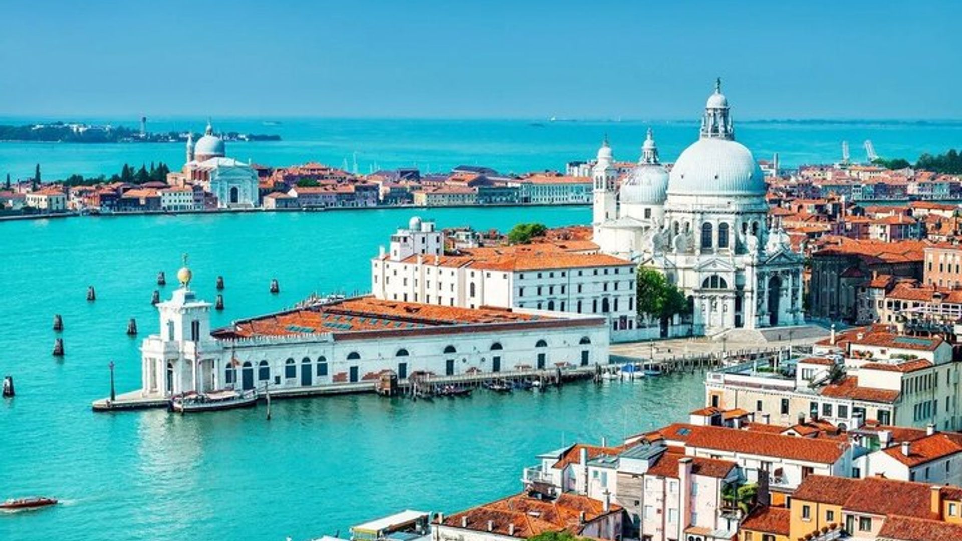 A Day in Venice Private Tour with Doge’s Palace and Gondola