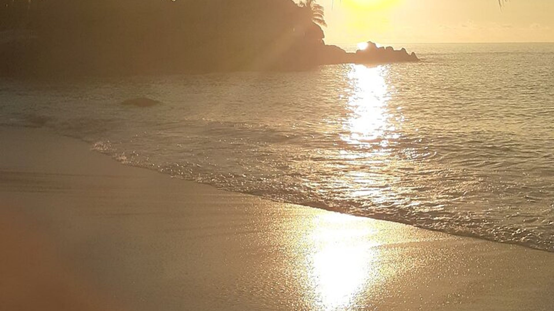 Mahe Private Half-Day Island Tour