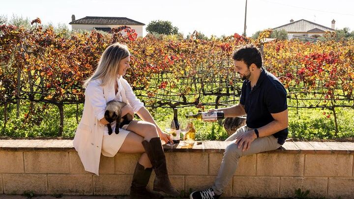 Malaga Small-Group Wine Tour with Tastings and Transport