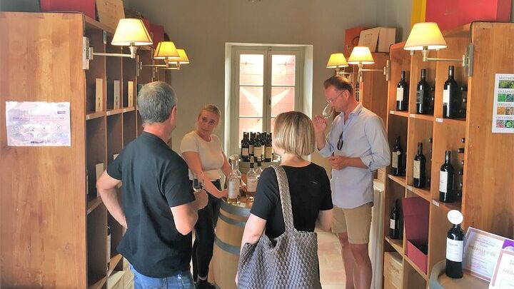 Full-Day Wine Tour around Luberon from Marseille