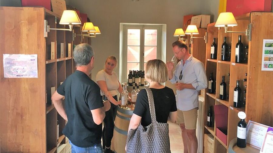 Full-Day Wine Tour around Luberon from Marseille