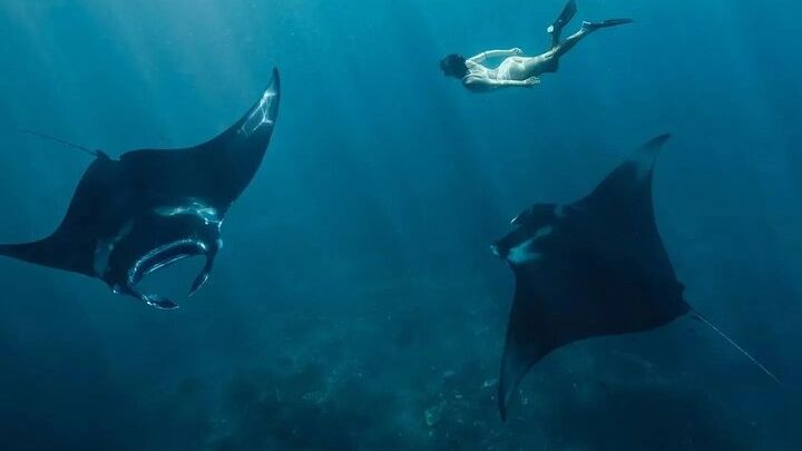 Nusa Penida Snorkeling Manta Rays & Land Tour West All Inclusive