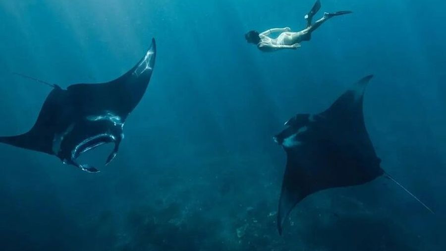 Nusa Penida Snorkeling Manta Rays & Land Tour West All Inclusive