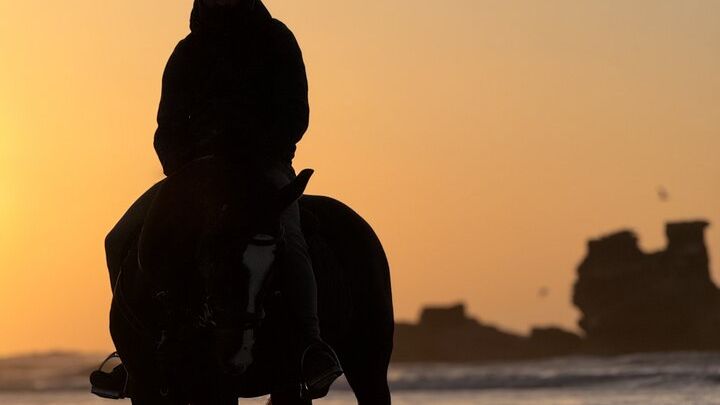 Horseback Riding in Essaouira - Essaouira HorseRiding