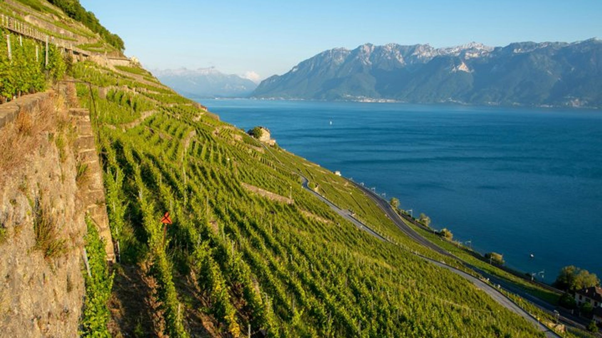 Visita a los viñedos de Lavaux, Patrimonio de la Humanidad, y degustación de vinos en furgoneta privada desde Montreux.