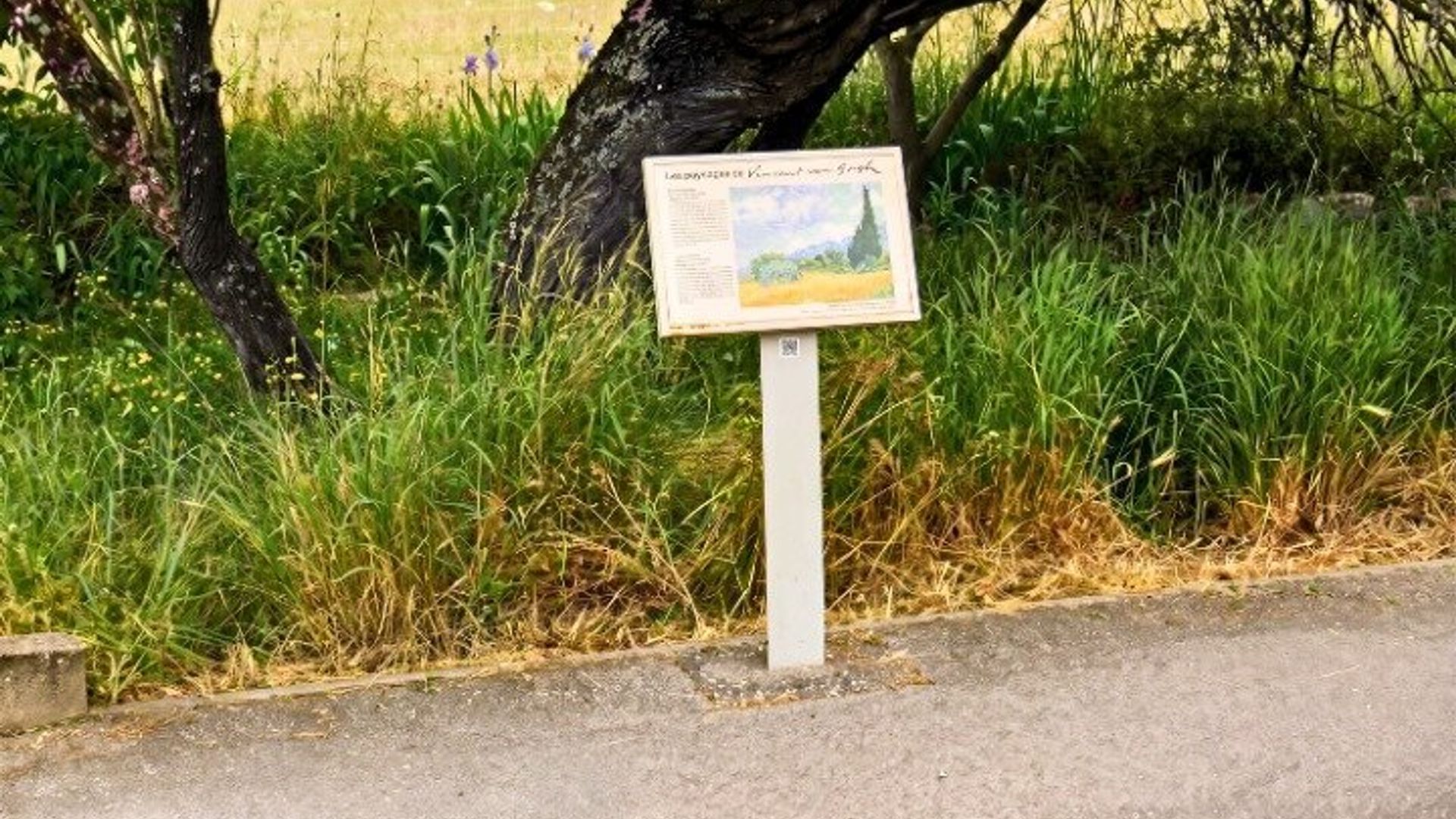 Saint-Rémy-de-Provence Van Gogh Visite guidée à pied