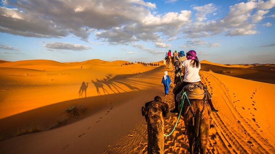 Shared Group Desert Tour Fes To Marrakech Via Merzouga 3 Days
