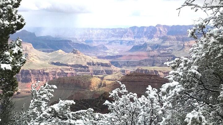 Grand Canyon National Park Full-Day Tour from Tusayan