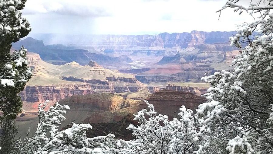 Grand Canyon National Park Full-Day Tour from Tusayan
