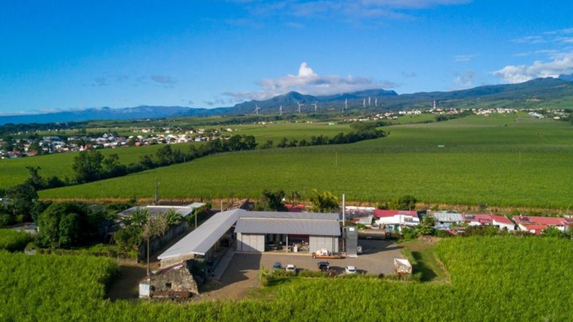Visite Découverte du Galabé et Rhum à Payet et Rivière