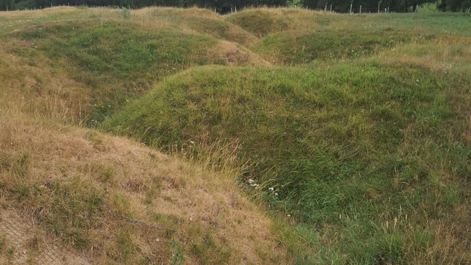 Somme Battlefield Tours Expert Led Historical Experiences