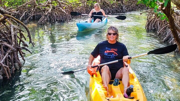 Sarasota: Lido Mangrove Tunnels Stand-Up Paddleboarding Tour
