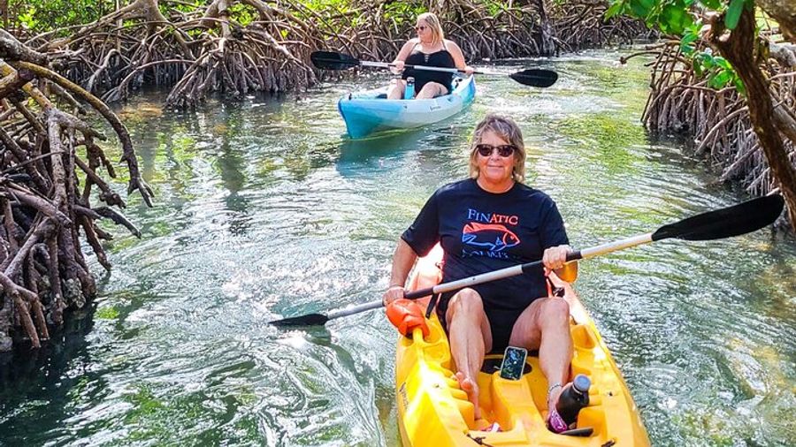 Sarasota: Lido Mangrove Tunnels Stand-Up Paddleboarding Tour