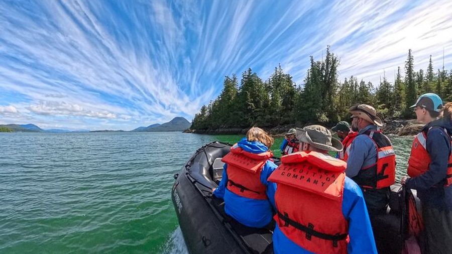 Ketchikan: Small-Group Marine Wildlife Zodiac Expedition