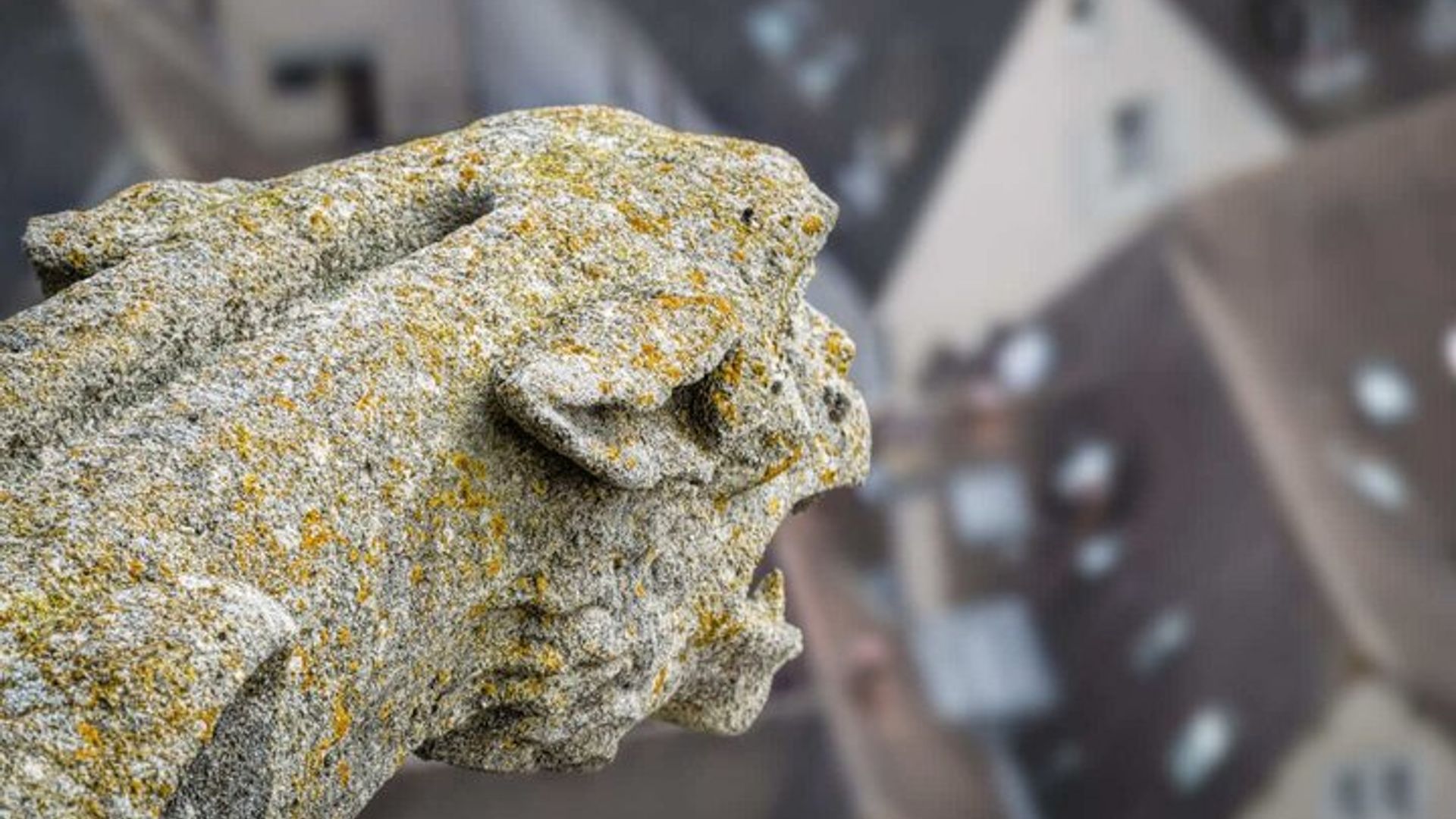 Bonjour Chartres : Visite urbaine privée de 2 heures avec un guide local