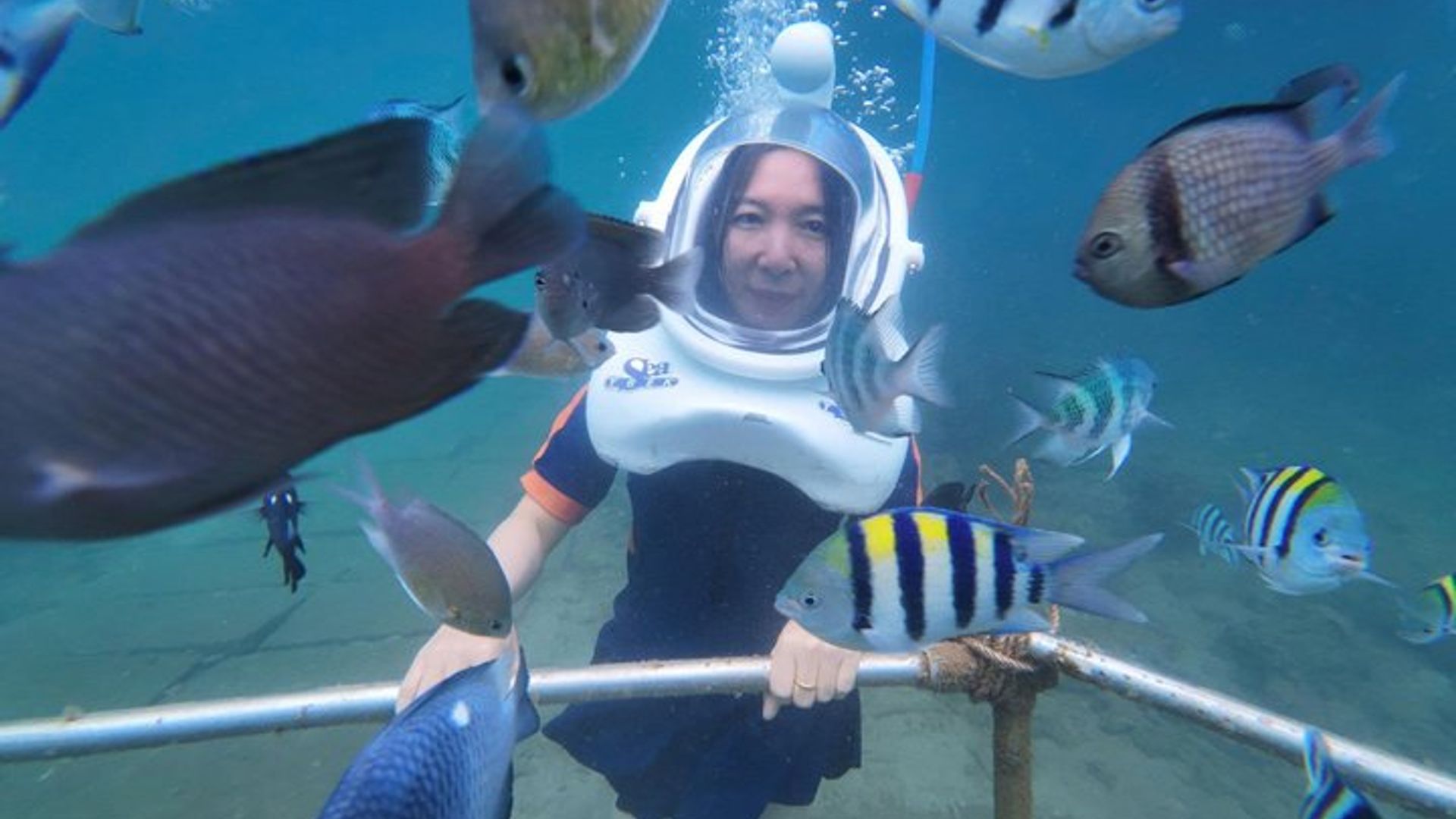 Crucero de día completo de las islas Cham: caminata subacuática, snorkeling