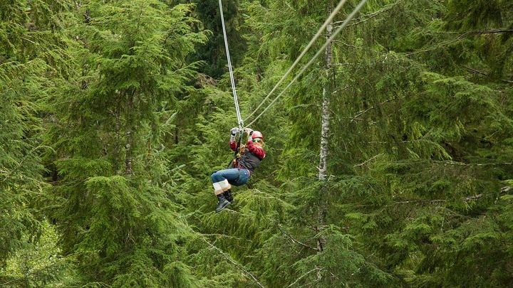 Ketchikan Zipline and Rainforest Canopy Adventure