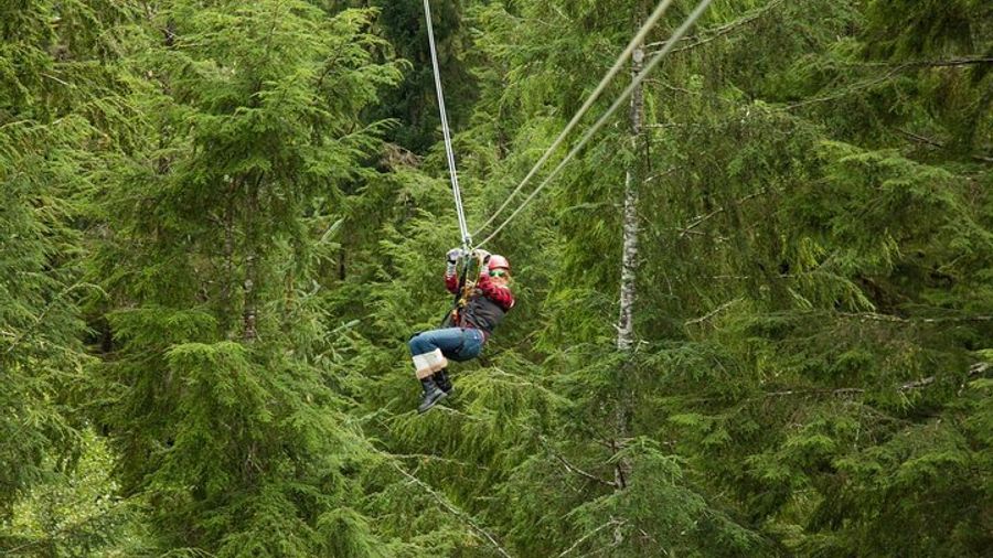 Ketchikan Zipline and Rainforest Canopy Adventure
