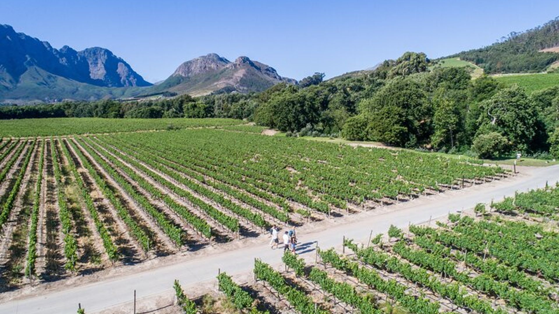 Paseo del vino de Franschhoek con almuerzo