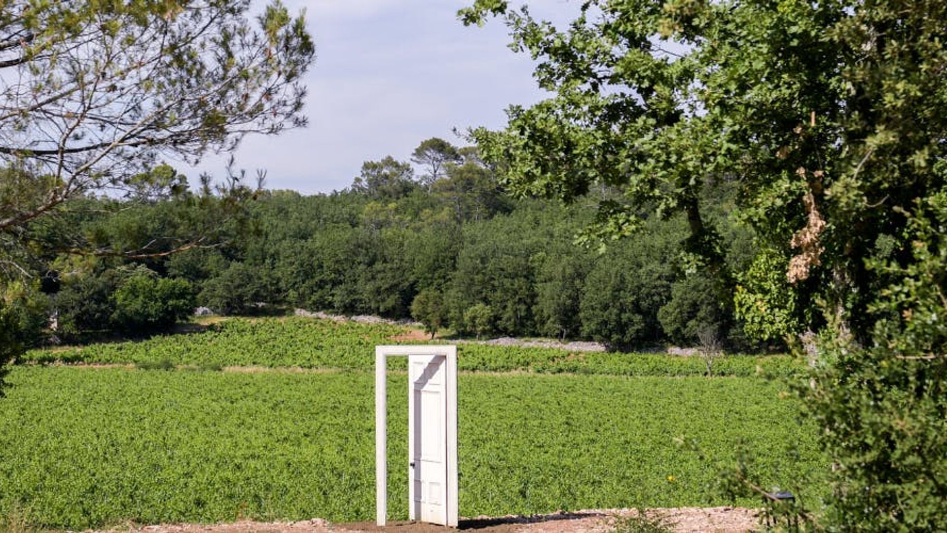 Guided tour of the vineyard and art collection in a buggy