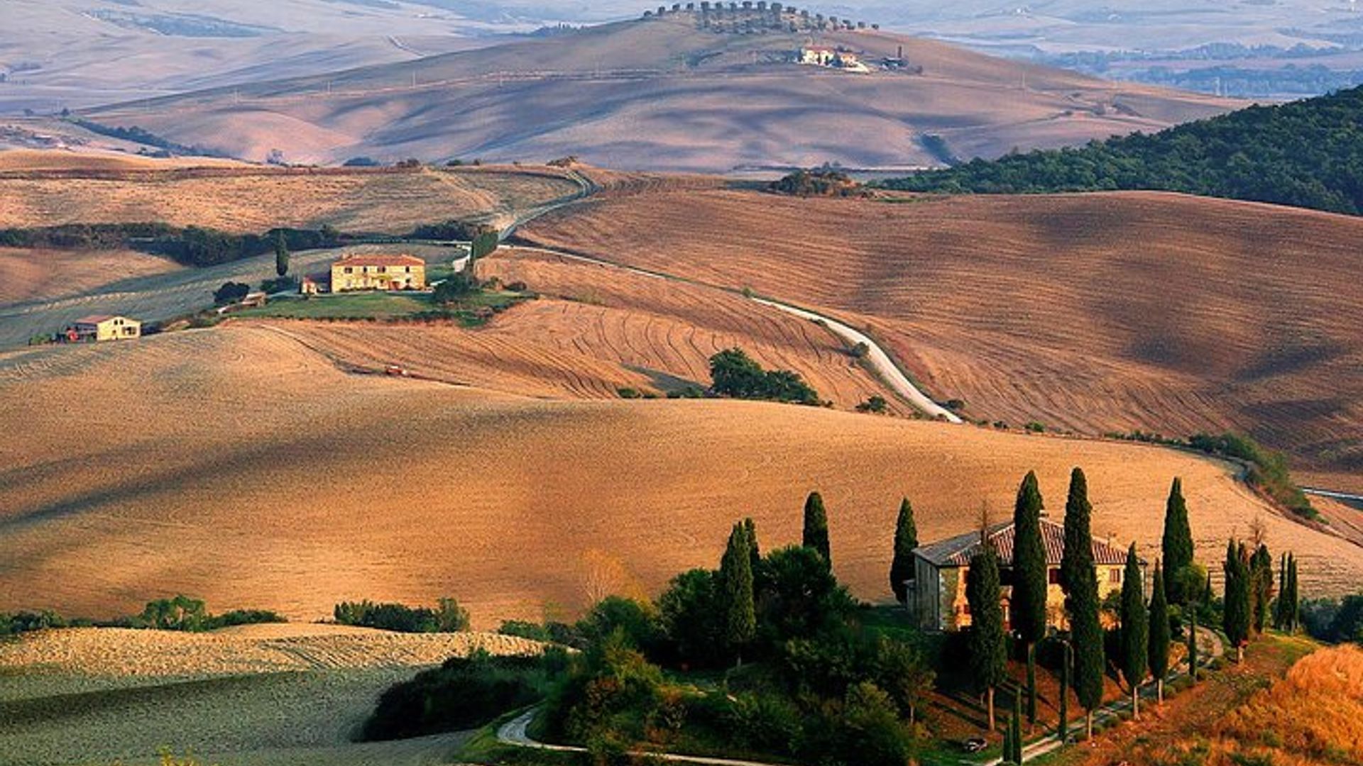 Florence: Val d’Orcia Private Tour With Winery Visit, Lunch