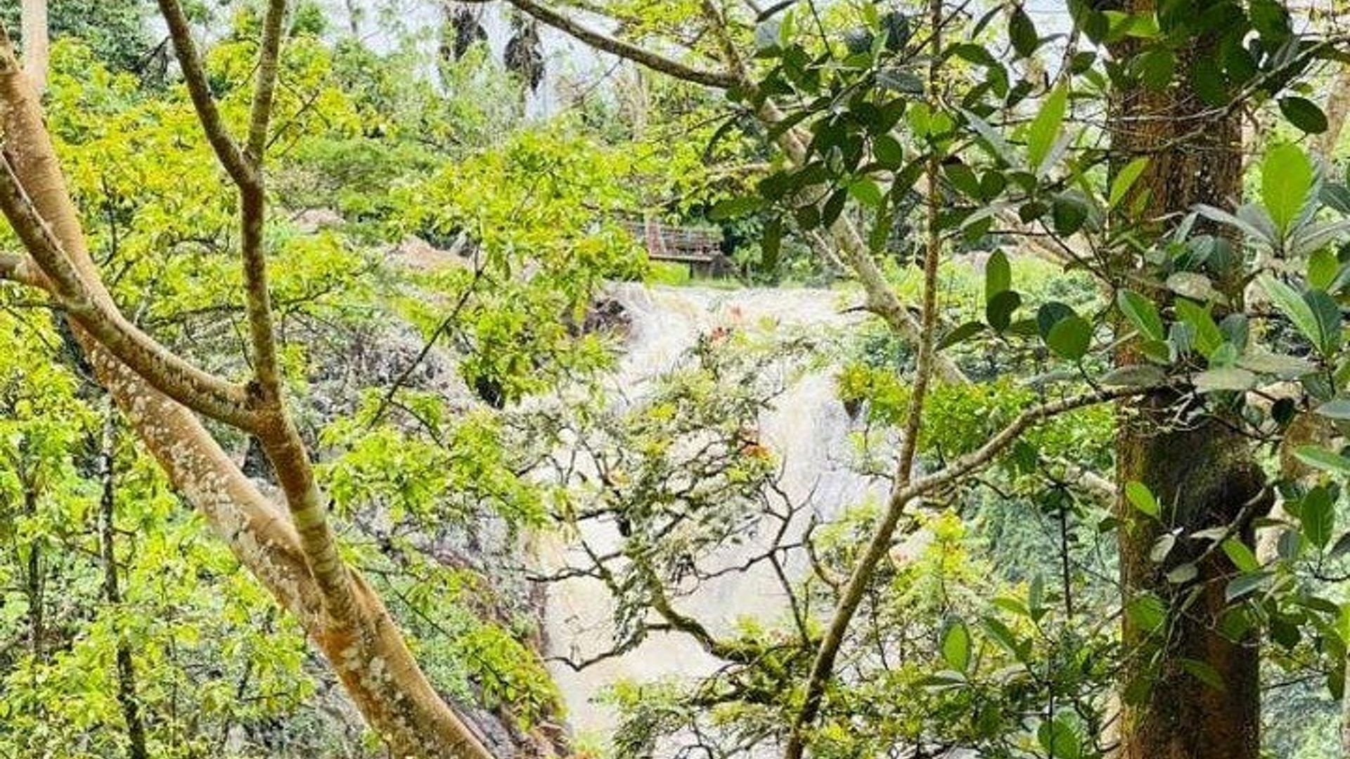 1 Day Jinja and Source of the Nile River Tour