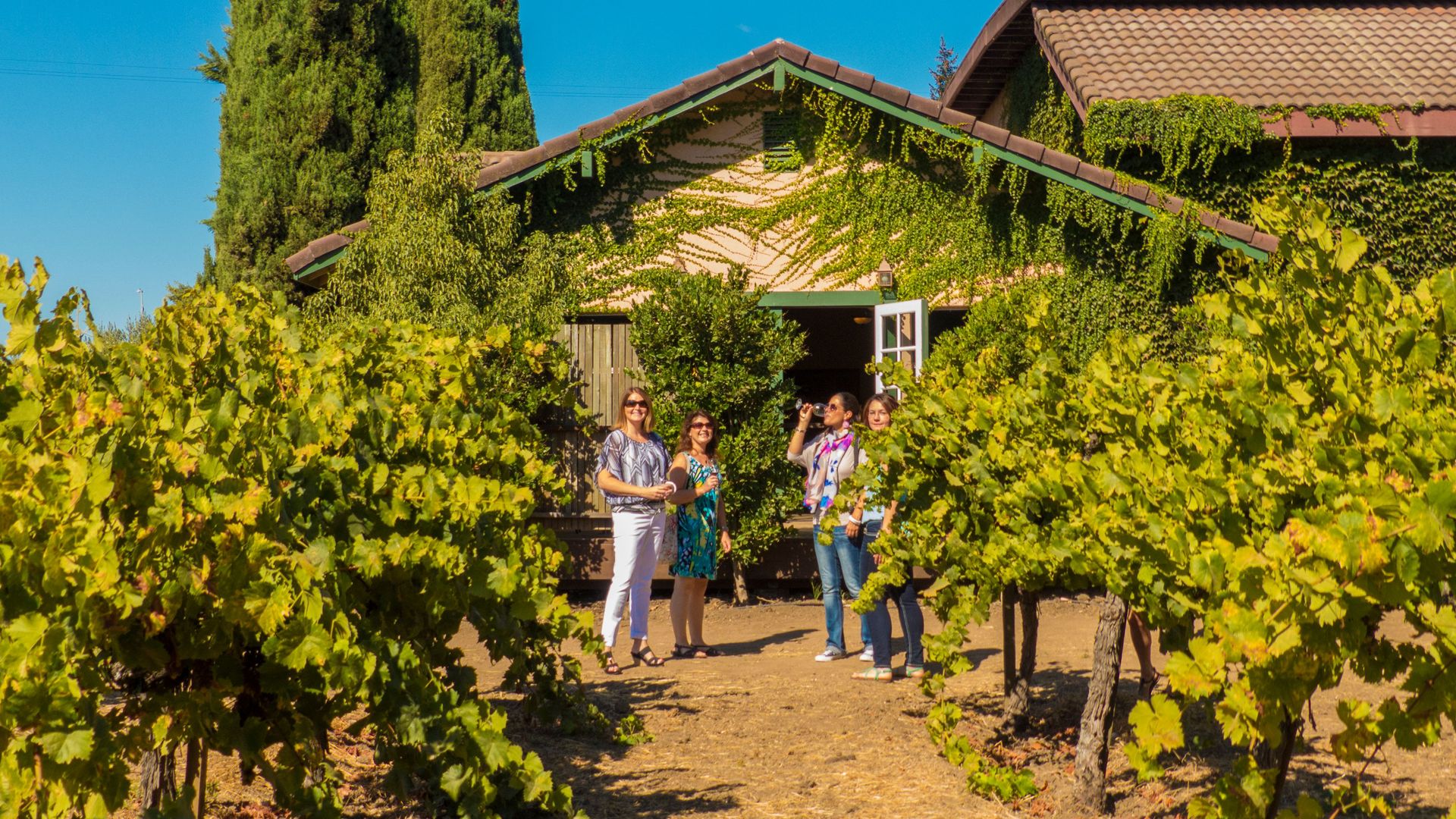 Woods & Wine Country Tour image 3