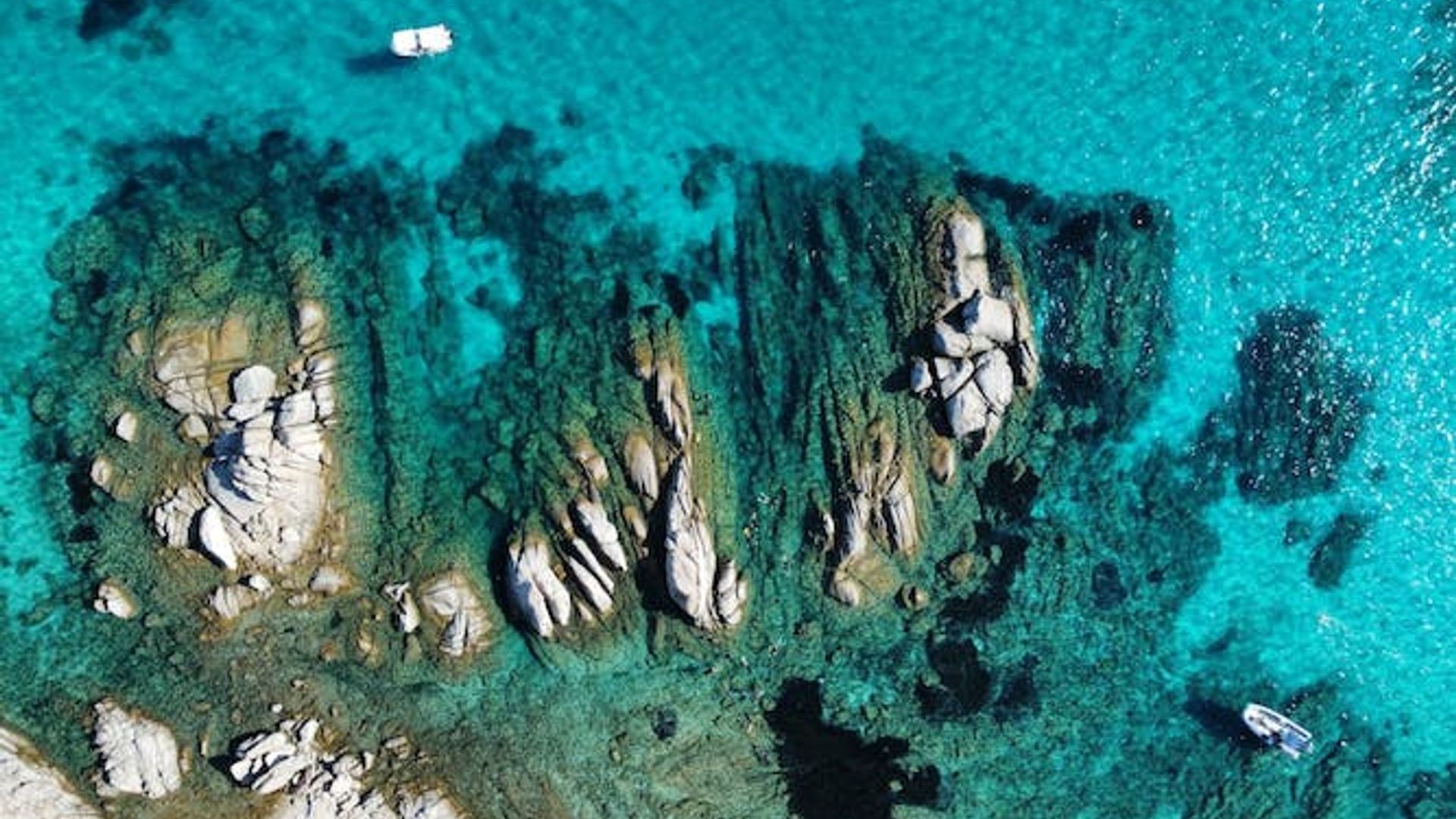 Esperienza di snorkeling nell'area protetta di Tavolara da San Teodoro