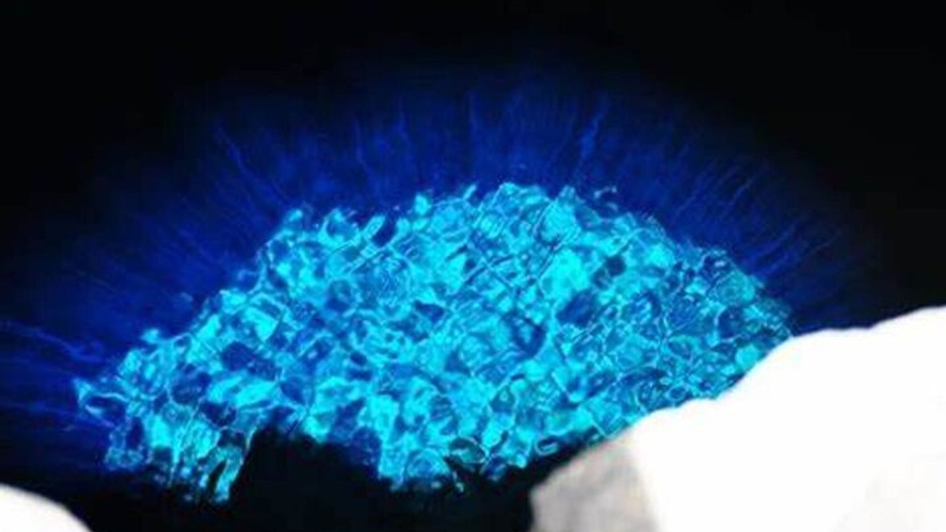 Excursion d'une journée - Mine de sel, Blue Eye, Shark Watch et Kite Beach