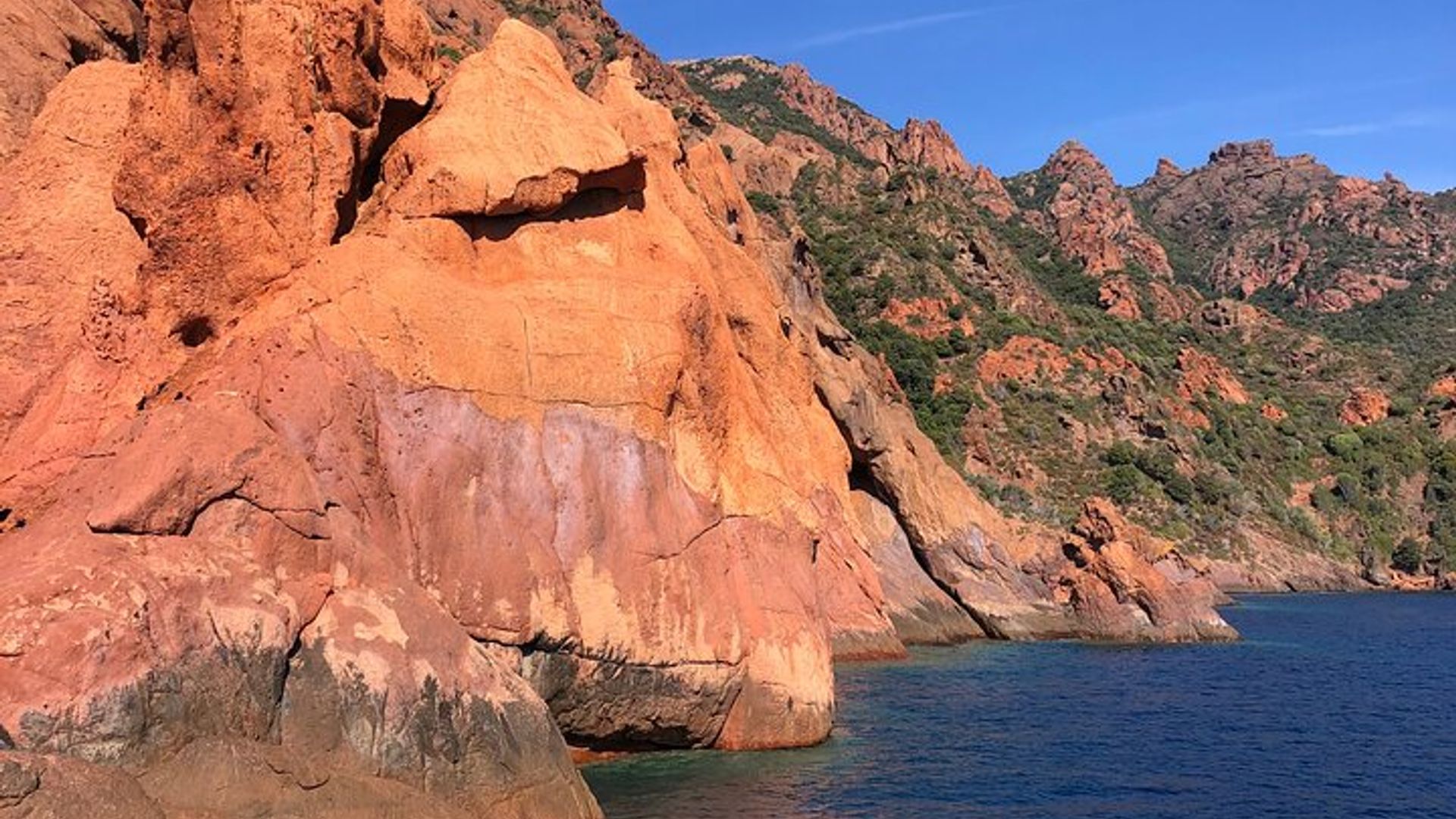 De Sagone/Cargèse: Calanques de Scandola Piana Girolata Natação