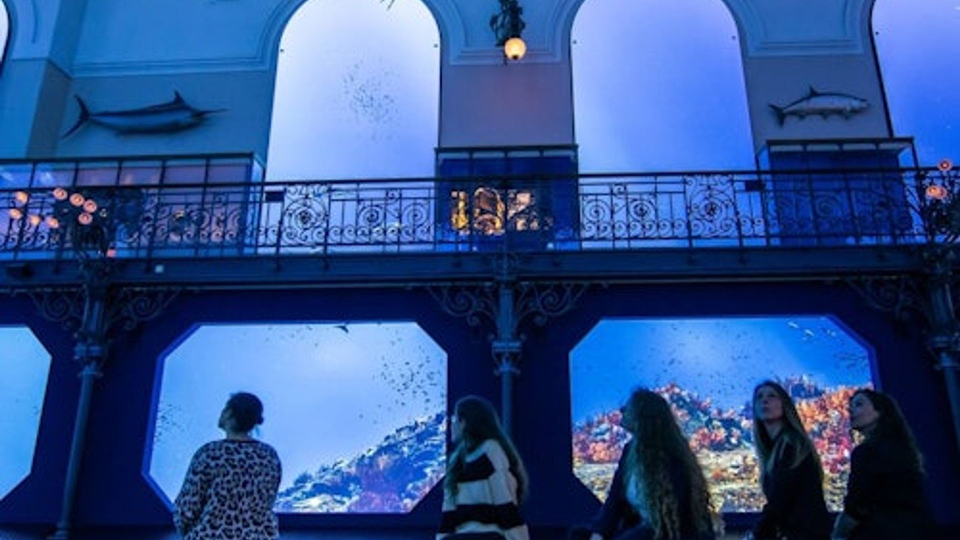 Musée Océanographique Monaco – Ozeanographisches Museum: Eintrittskarte