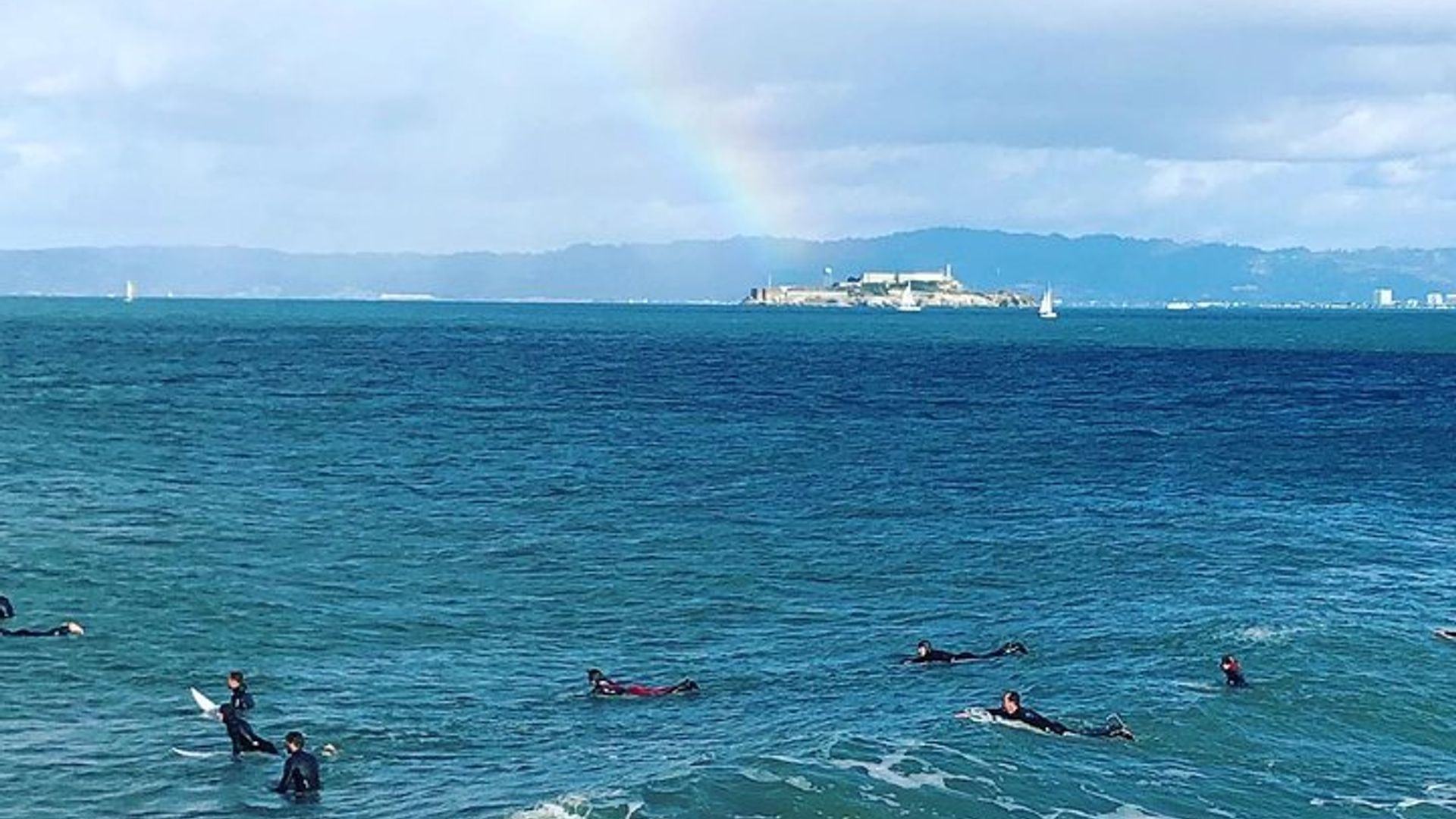 Muir Woods, Golden Gate Bridge + Sausalito with Optional Alcatraz image 1