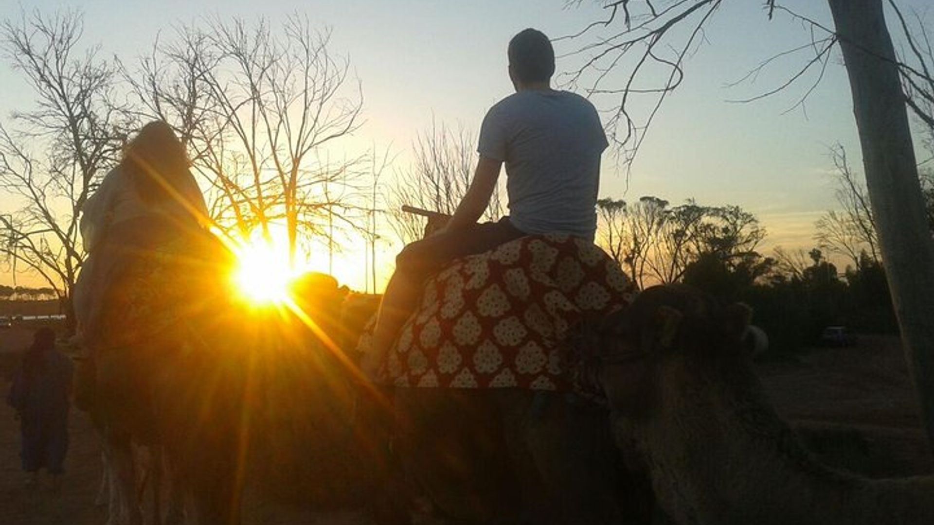 Paseo en camello al atardecer en Agadir con cena