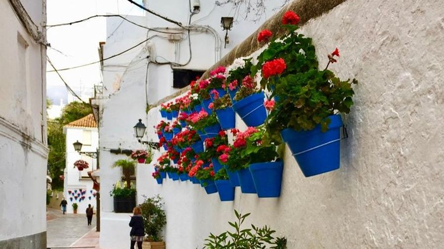Marbella City Secrets Group Walking Tour in the Old Town