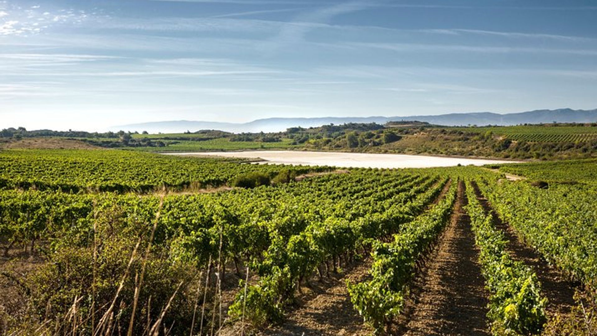 Rioja Wine Tour: Bodega Y Almuerzo Tradicional Desde Vitoria