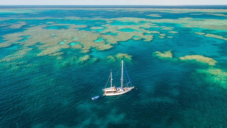 3 Day Whitsundays Sailing and Diving Adventure: Kiana