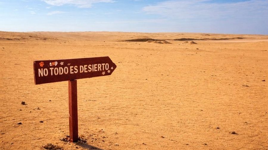 Paracas NationaL Reserve Journey - Scenic Stops at Your own pace