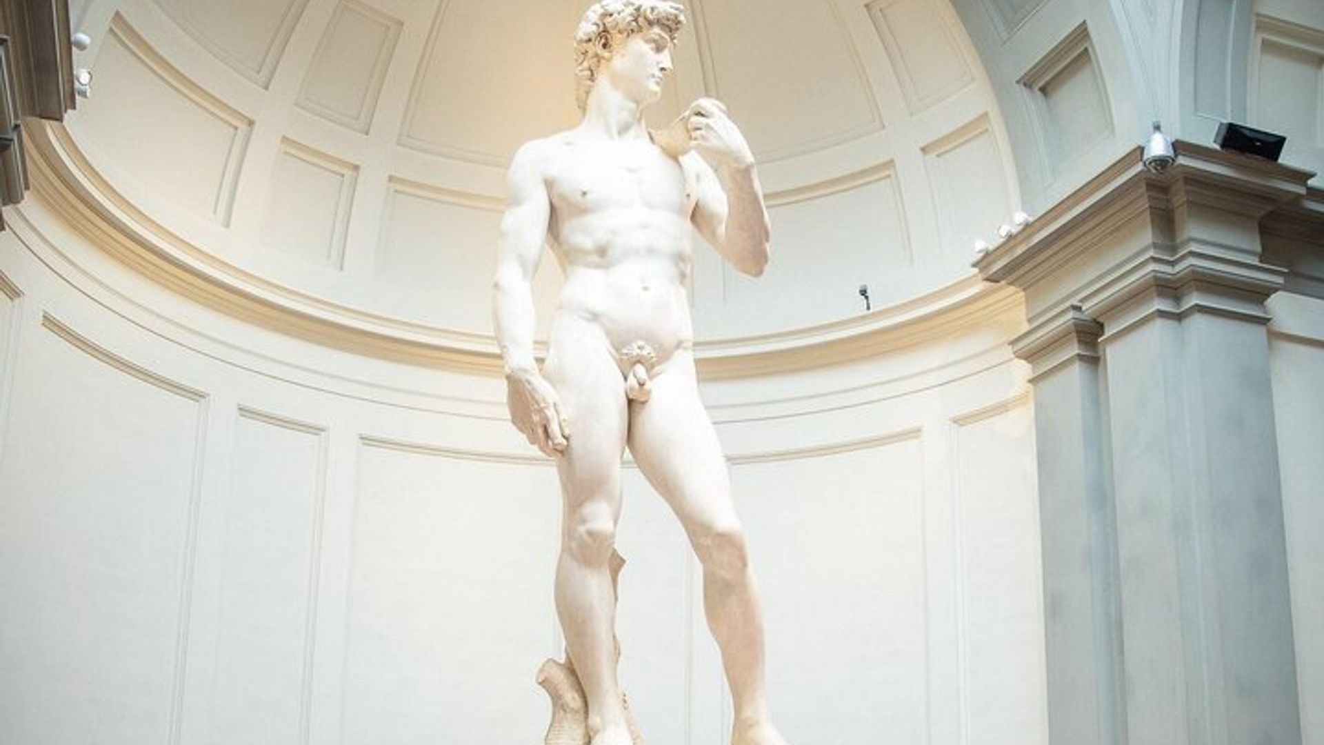 Florence Accademia Gallery: Timed Entry to David & Bargello