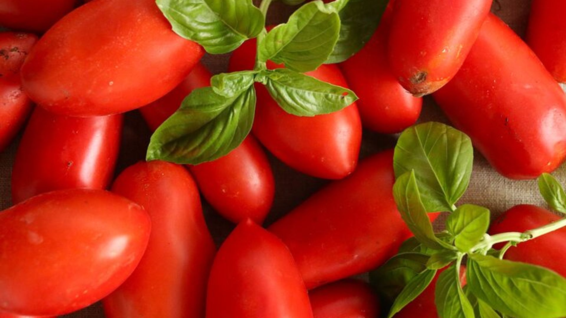 Tuscan World Famous Cuisine Activity with a Local Food Expert