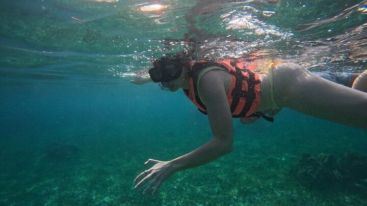 Puerto Morelos National Reef Park: Small-Group Snorkel