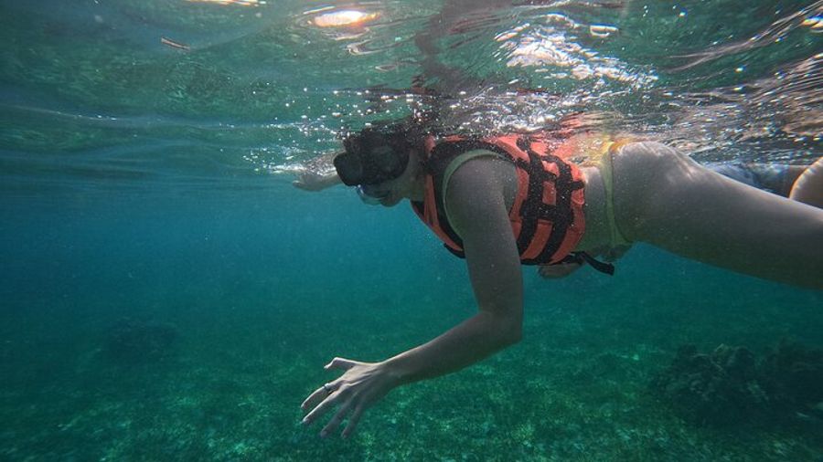 Puerto Morelos National Reef Park: Small-Group Snorkel