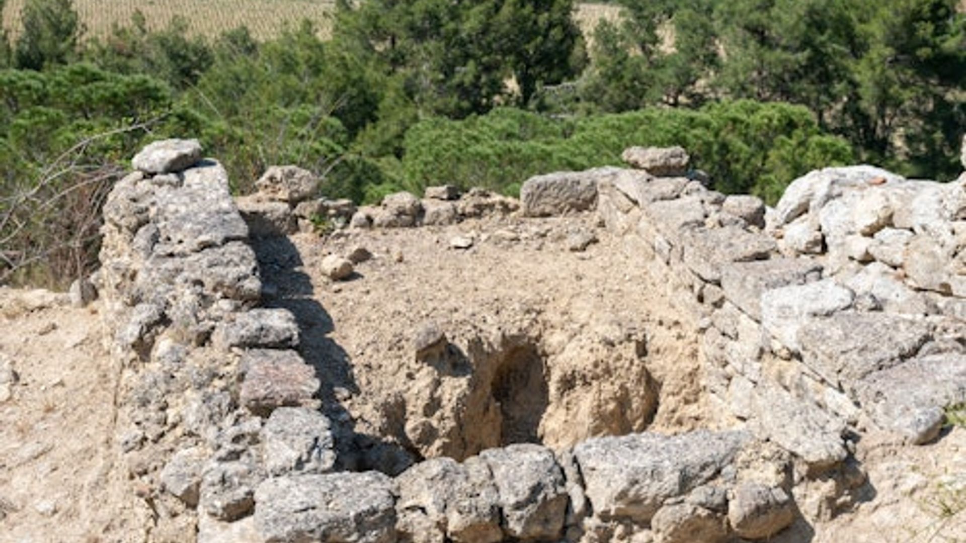 Oppidum d'Ensérune & Musée archéologique : Billet d'entrée
