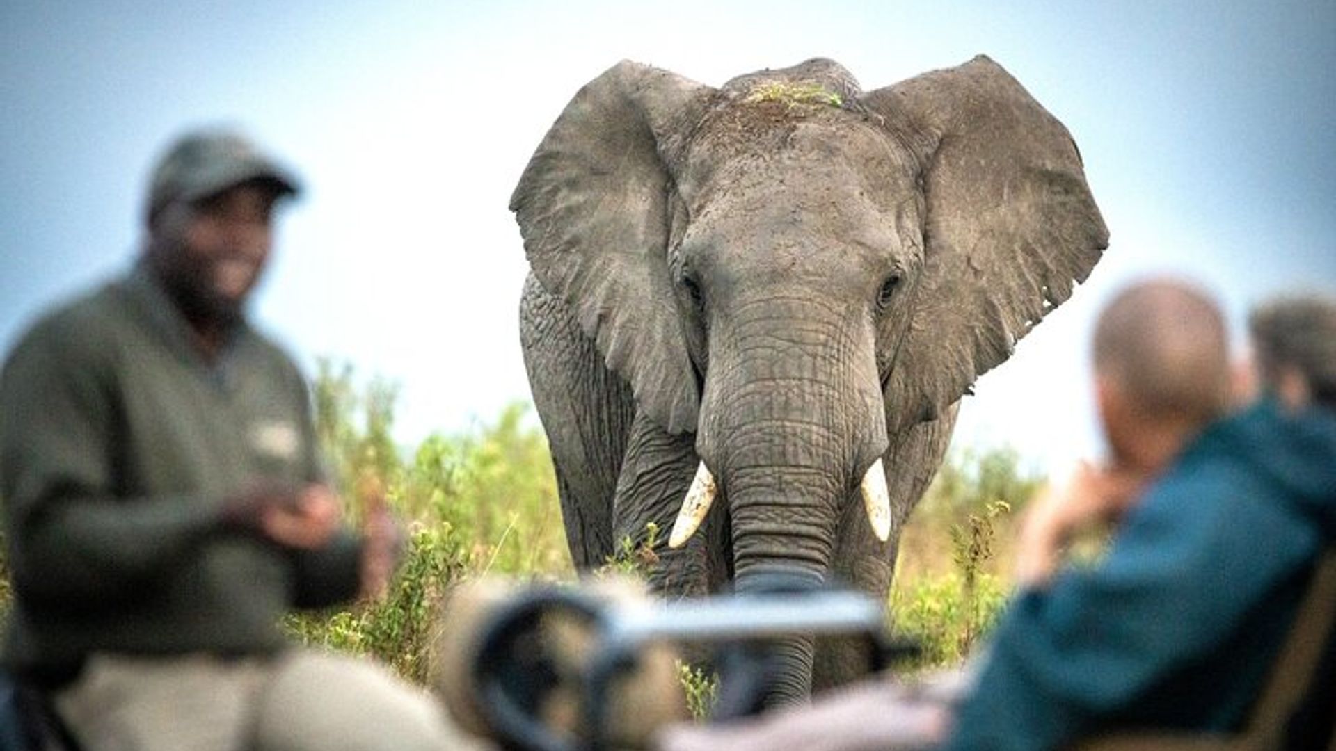 Tour de 2 noches en safari por Gondwana desde Ciudad del Cabo