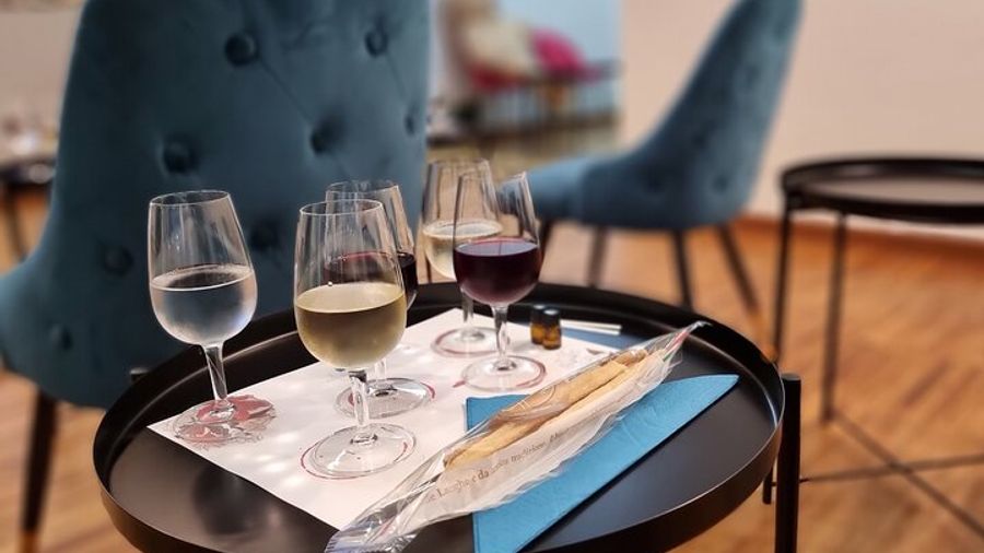 Piedmont Wine Tasting in Turin