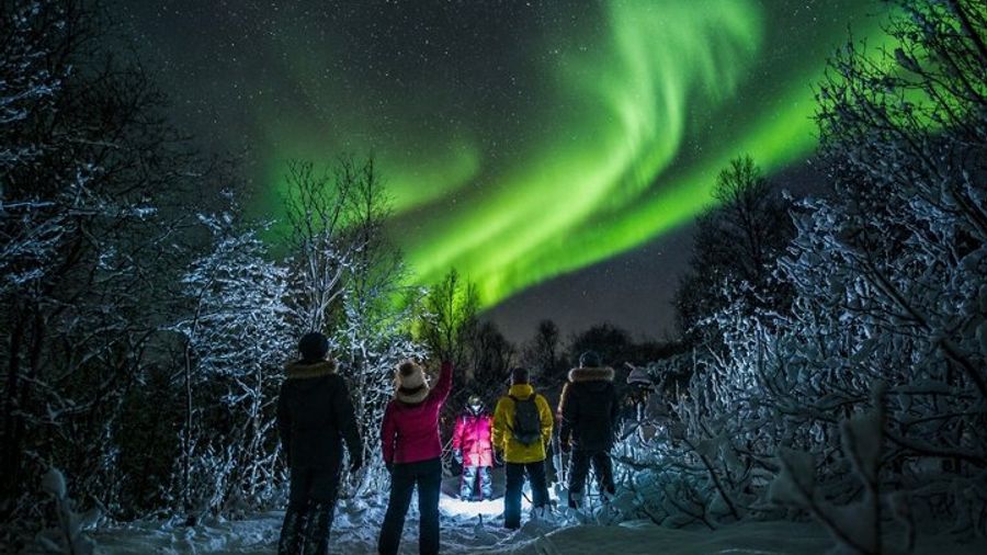 Tromso Northern Lights Group Tour With Warm Drinks and Photos
