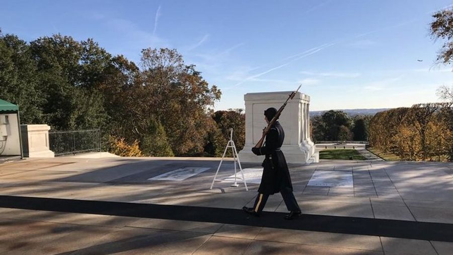 Washington DC Private Arlington Cemetery Tour with Transfers
