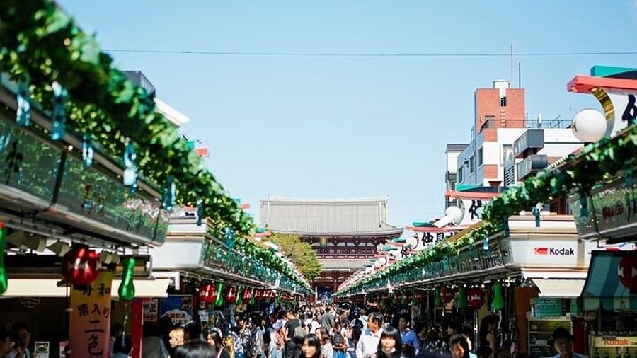 Tokyo Full-Day Sightseeing Tour by Coach with Lunch Option